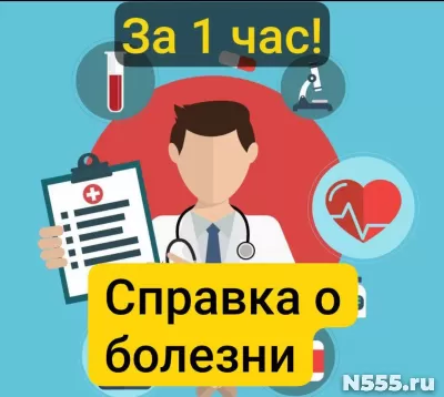 Заказать справку 095у в Петропавловске-камчатском, за 1 час